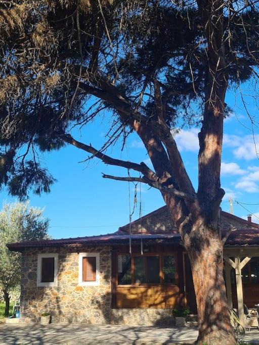Panormos  Annas Cozy Cottage Kalymnos מראה חיצוני תמונה
